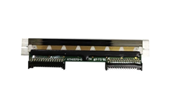 Genuine Zebra ZD410 Printhead 203dpi P1079903-010